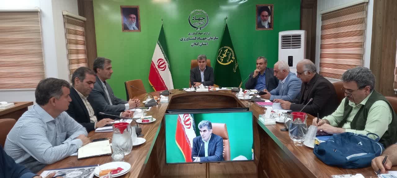 رئیس سازمان جهاد کشاورزی گیلان خبر داد: پیش بینی تولید ۲۵ هزار تنی زیتون در گیلان